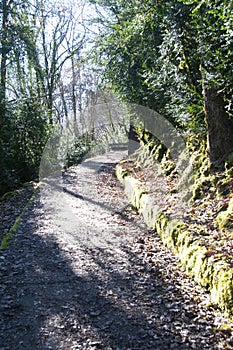 Walking path near Duingt, Savoy