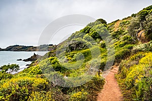 Walking path on the Pacific Ocean coastline; foggy day; Marin Headlands, San Francisco bay area, California