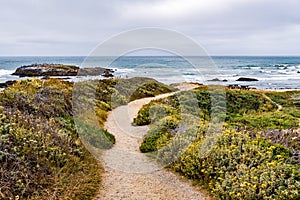 Walking path on the Pacific Ocean coastline, Pescadero State Beach, California