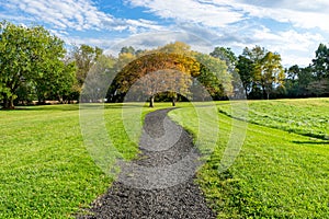 Walking path in a park