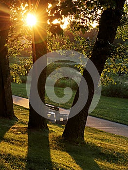 Walking Path and Park Bench Bathed in Gold Sunlight