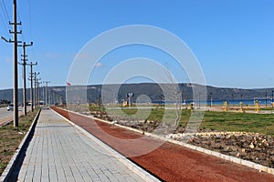 walking path in the park