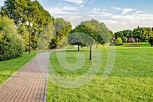 Walking path in the summer park on a clear sunny day