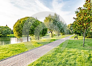 Walking path in the summer park on a clear sunny day