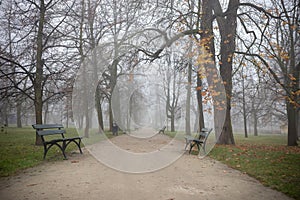 A walking path through a tranquil park - misty autumn background