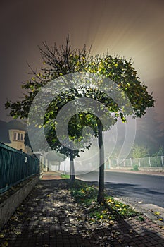 Walking path through village with tree at night lit by street lamps during fog. Autumn nights concept.