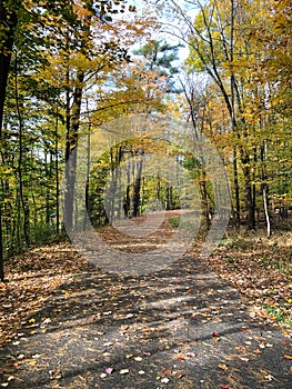 Walking path in Wilber Park