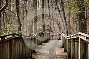 Walking path on wood boardwalk thru woods