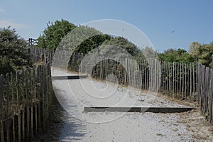 Walking path with wooden fence in the dunes.