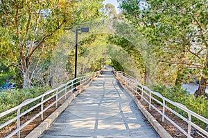 Walking Path through Woods photo