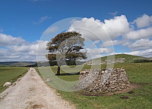 Walking path on the Yorkshire Dales photo