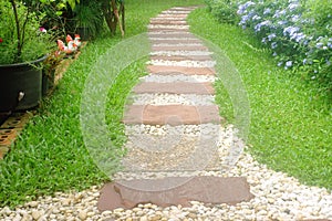 Walking paths in the garden