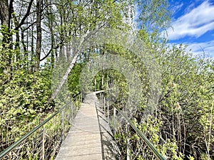 Walking paths in the Solnechnaya Park in May. Moscow region, Balashikha city.