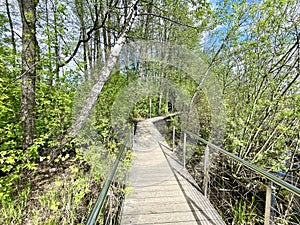 Walking paths in the Solnechnaya Park in May. Moscow region, Balashikha city