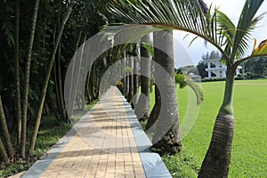 Walking pathways inside the park