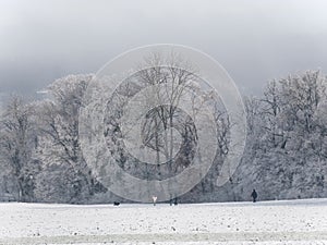 Walking people in the snowy countryside