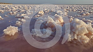 Walking by pink lake of salt. Salt crystals of