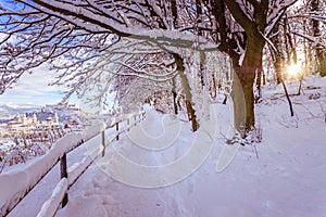 Walking promenade in Salzburg, snowy winter landscape