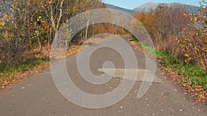 Walking or riding slowly over country asphalt road, autumn coloured trees both sides, mountains in distance