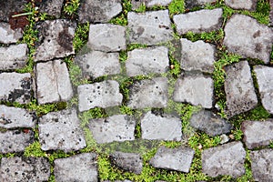 Walking road brick