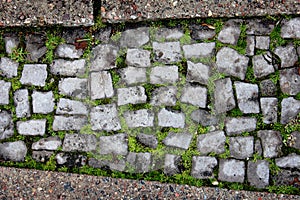 Walking road brick