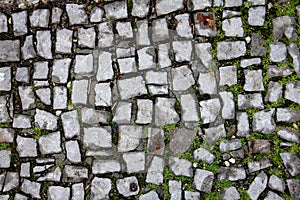 Walking road brick