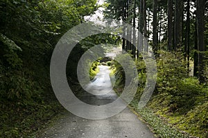 Walking the road following the Nakasendo trail between Nagiso and Tsumago in Kiso Valley, Japan.