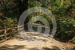 Walking road in forest - tourist hiking trail path with wooden fence - summer time view