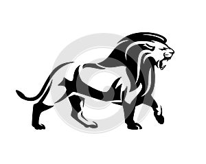 Walking and roaring lion with long mane black and white vector outline