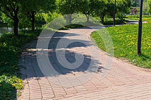 Walking round footpath, trail turning right in the middle of a park with grass with blooming yellow dandelions between trees