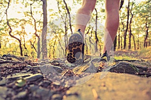 Walking or running legs in forest, adventure and exercising