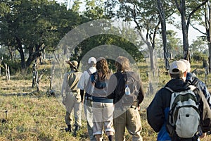 Walking safari photo