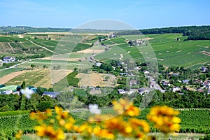 Walking in Sancerre, medieval hilltop town and commune in Cher department, France overlooking the river Loire valley with