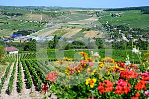 Walking in Sancerre, medieval hilltop town and commune in Cher department, France overlooking the river Loire valley with