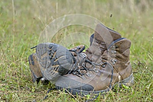 Walking shoes. All terrain shoes