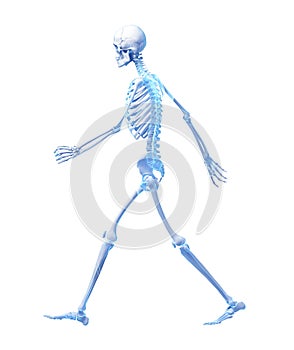 Walking skeleton