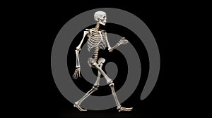 white walking skeleton, dark background