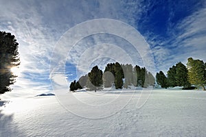 Walking on the snow in the Alps