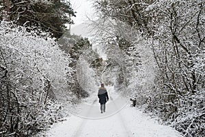 Walking on a snow-covered footpath