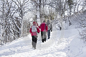 Walking on the snow forest
