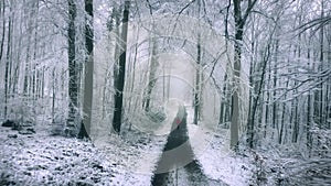 Walking in a snowy forest