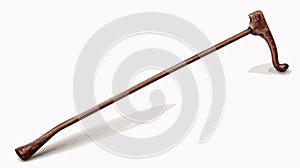 Walking Stick on White Background Vector Illustration
