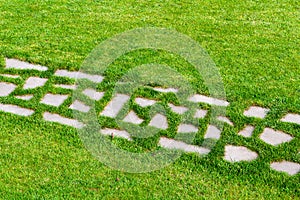 walking stone path on green lawn