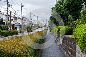 Walking street and tree in the village