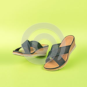 Walking summer women`s high-soled shoes on a green background