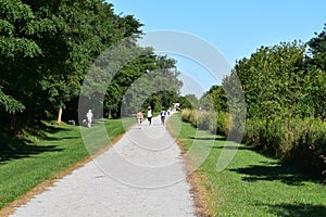 Walking on a sunny spring day