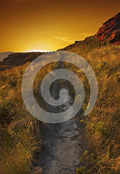 Walking in the sunset