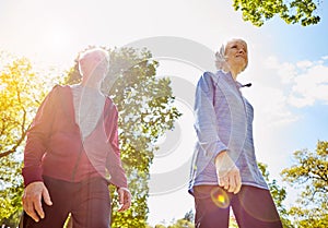 Walking in the sunshine. Low angle shot of an affectionate senior couple taking a walk in the park during the summer.