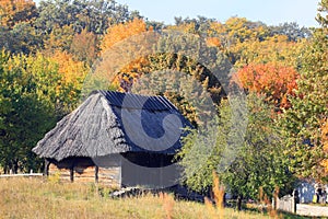 Walking on the territory of the open-air museum in Pirogovo during the autumn holiday.