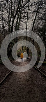 Walking though a woodland . Alone woman walking though a urban nature reserve Devon photo